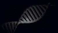 abstract visual representation of dna helix